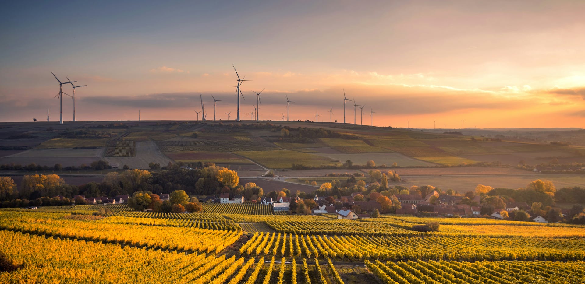 Champ d'éoliennes