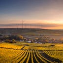 Champ d'éoliennes