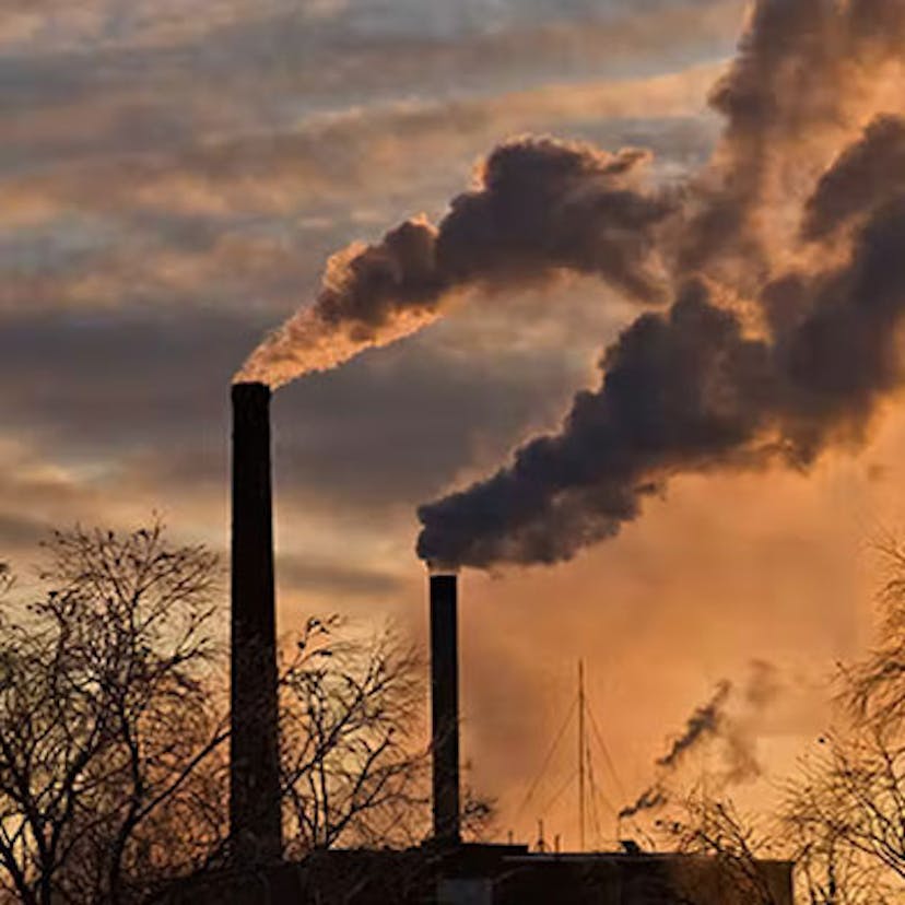 Une usine laissant s'échapper des fumées noires au dessus des arbres