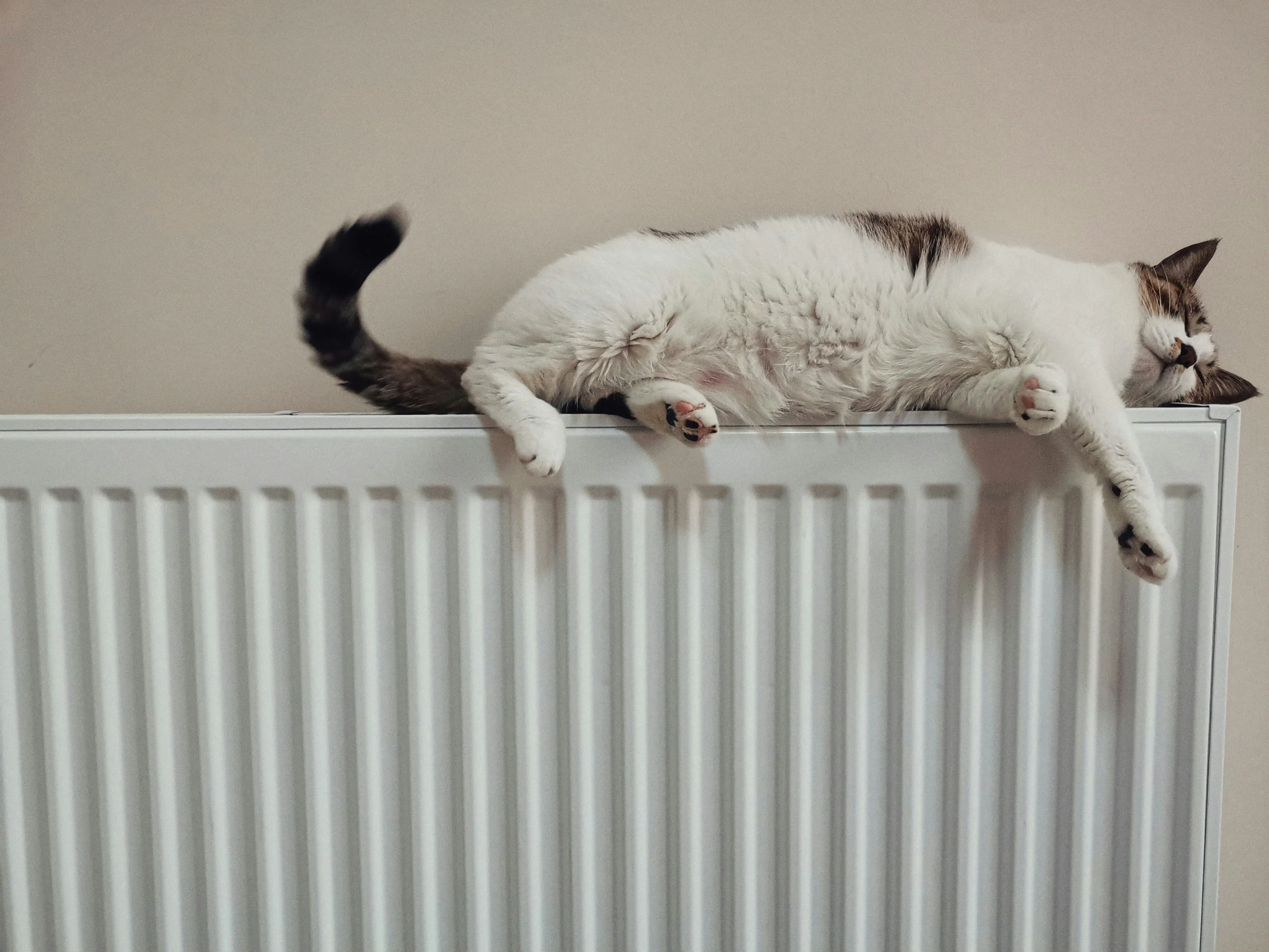 Radiateur bruyant causes, bruits et solutions efficaces — free download