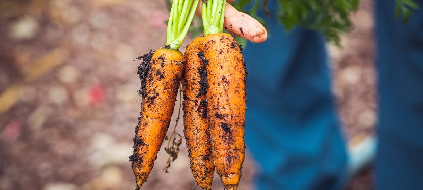 La valeur du bio en supermarché