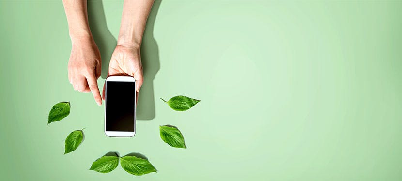 Illustration image for the most ecological smartphones