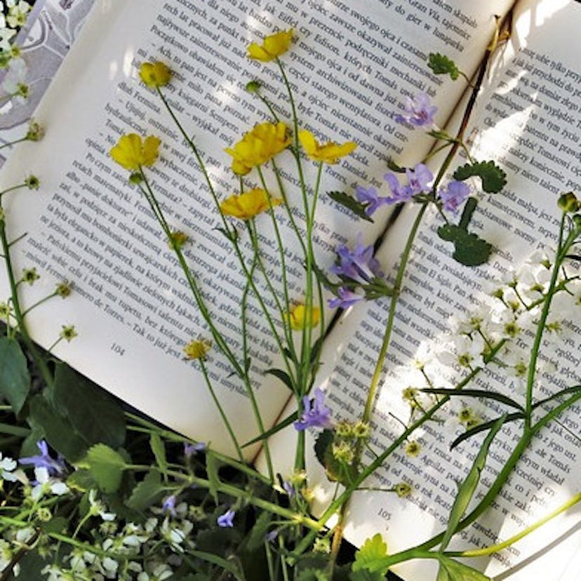 Un texte de loi dans la nature