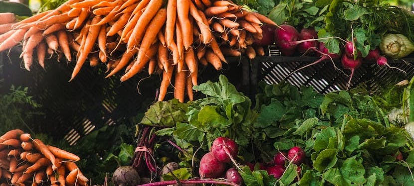 Des légumes qui ont une faible empreinte carbone