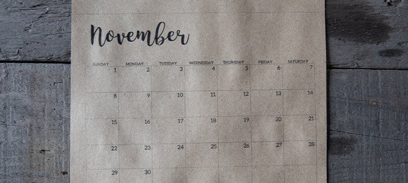 Les 10 bonnes nouvelles du mois de novembre 2021