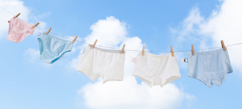 Plante ton slip pour mesurer la qualité des sols