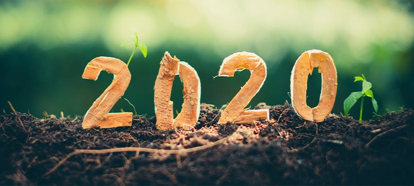 Les 10 nouvelles positives de l'année 2020 