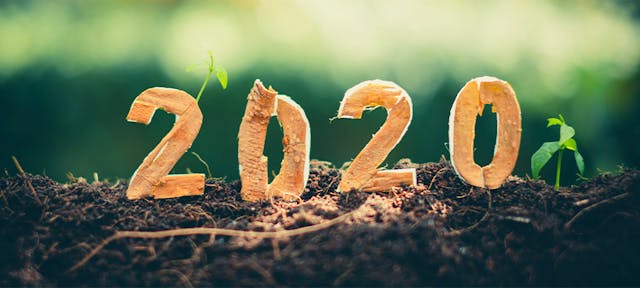 Les 10 nouvelles positives de l'année 2020 