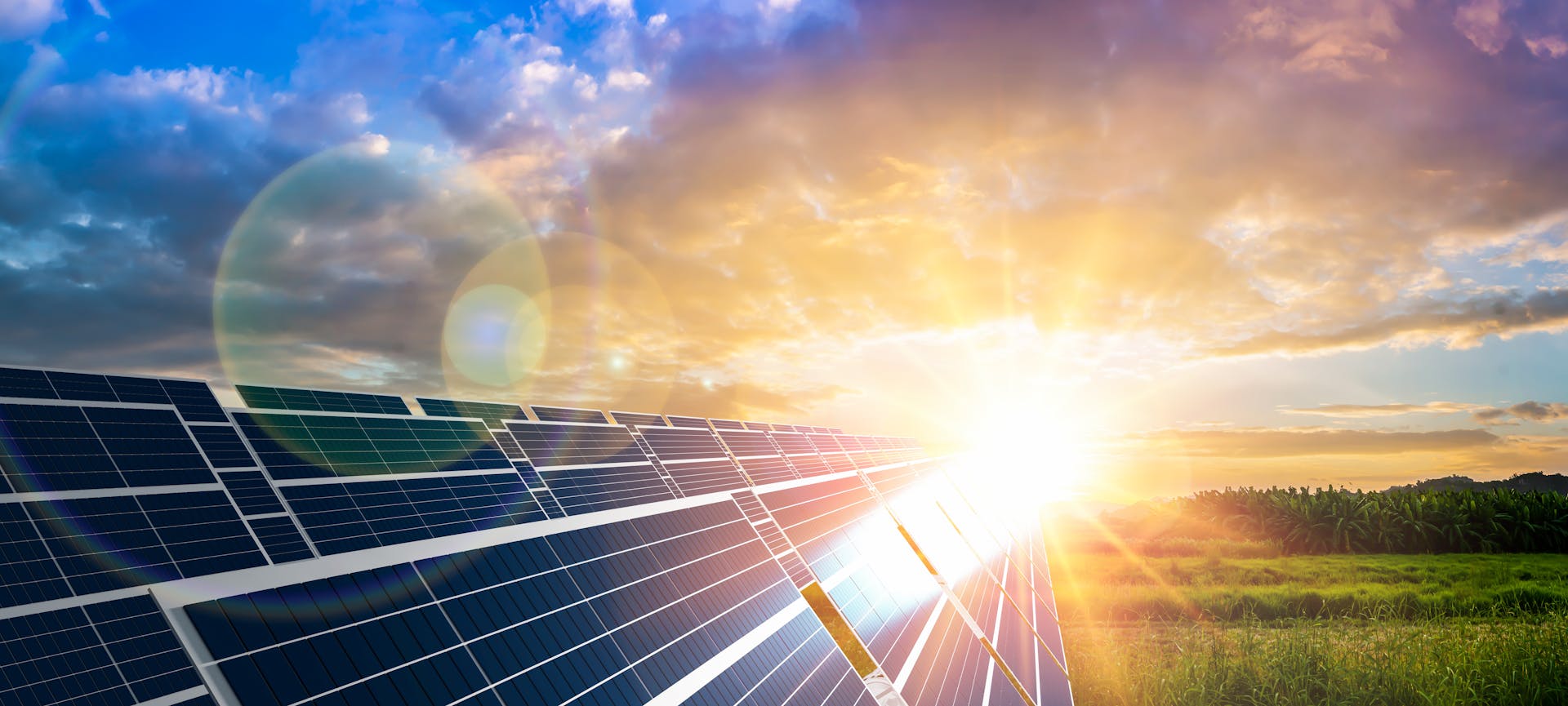 Des panneaux solaires qui produisent de l'électricité grâce à l'énergie du soleil
