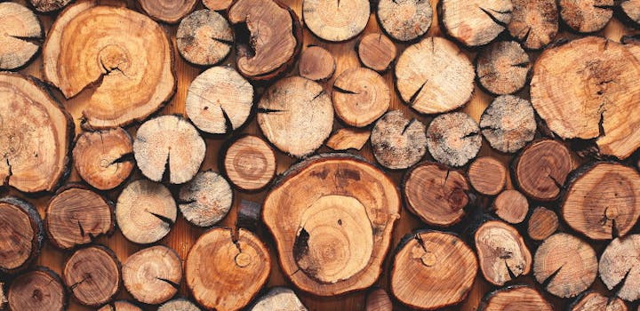 Le bois compressé est-il plus écologique ?