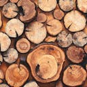 Livraison bois 77 : optez pour un bois de chauffage adapté à vos besoins