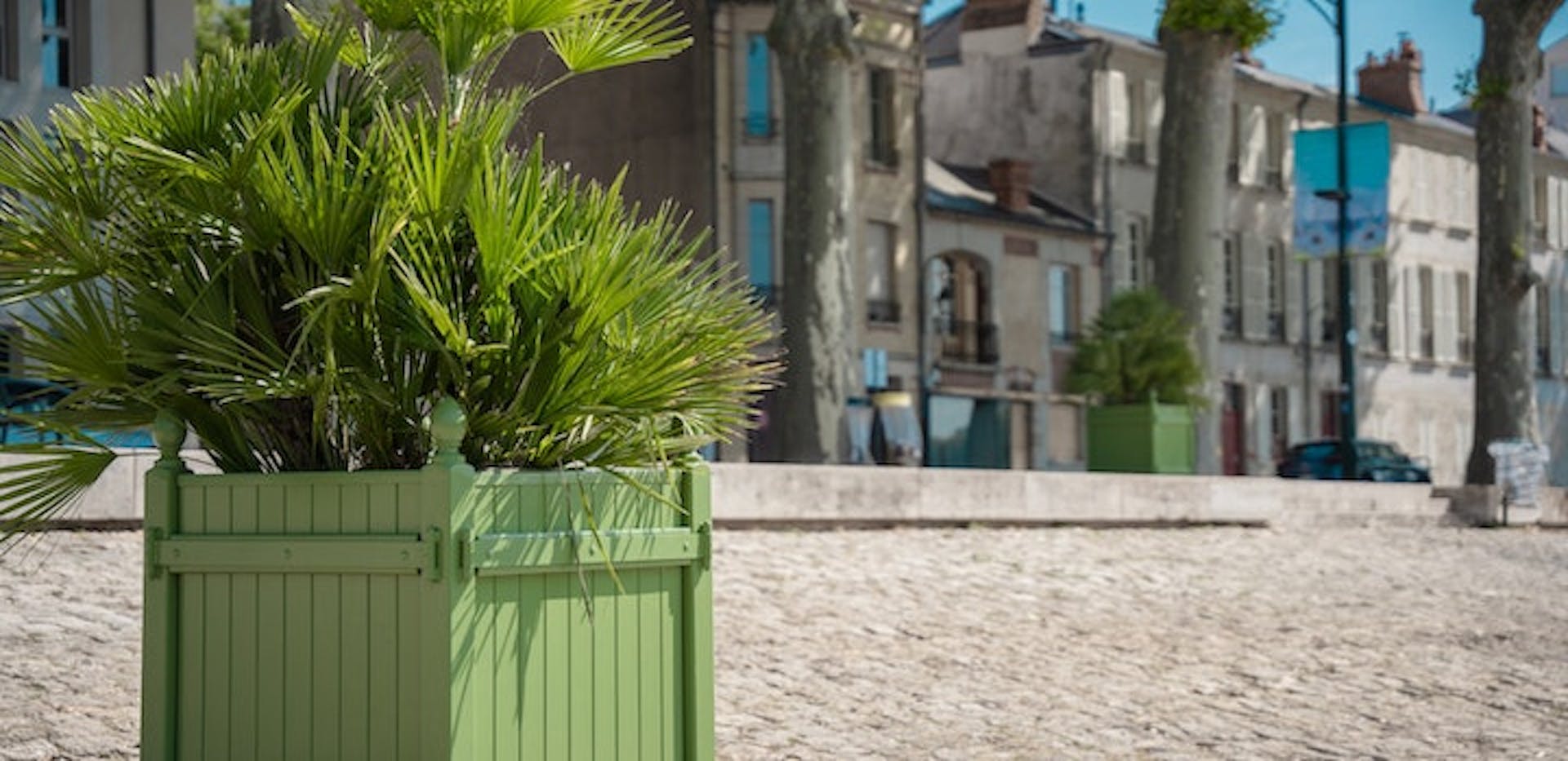 plante en pot dans une ville française