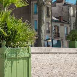 plante en pot dans une ville française