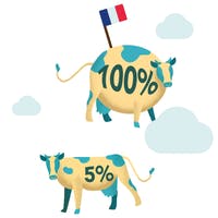 Deux vaches françaises illustrent les deux offres de gaz vert ekWateur : 5% ou 100% biométhane