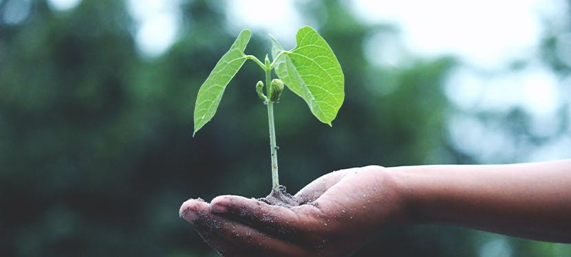 Quitter son confort pour se consacrer à l'écologie