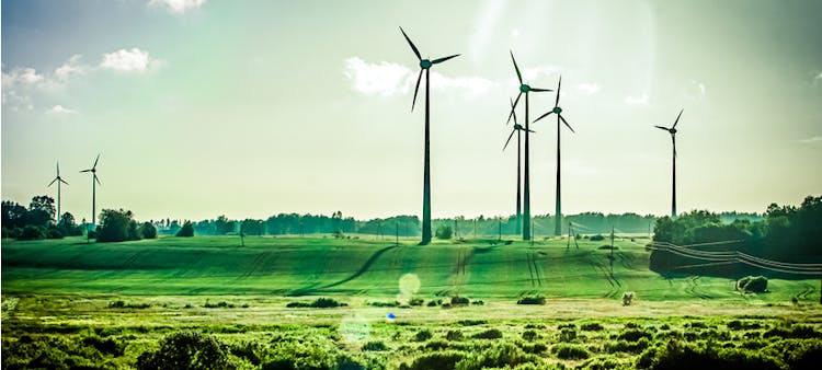 L'énergie verte est représentée par des éoliennes dans une prairie