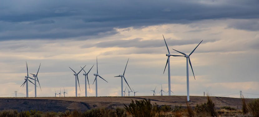 Les éoliennes sont-elles mauvaises pour l'environnement ?