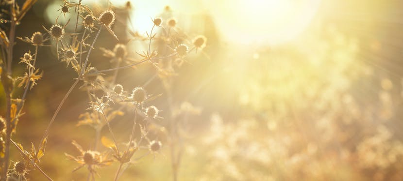 Comment apporter de la lumière naturelle dans les logements sombres ?