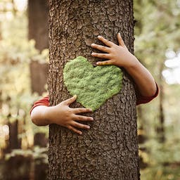 Enfant qui enlace un arbre pour préserver l'écologie.