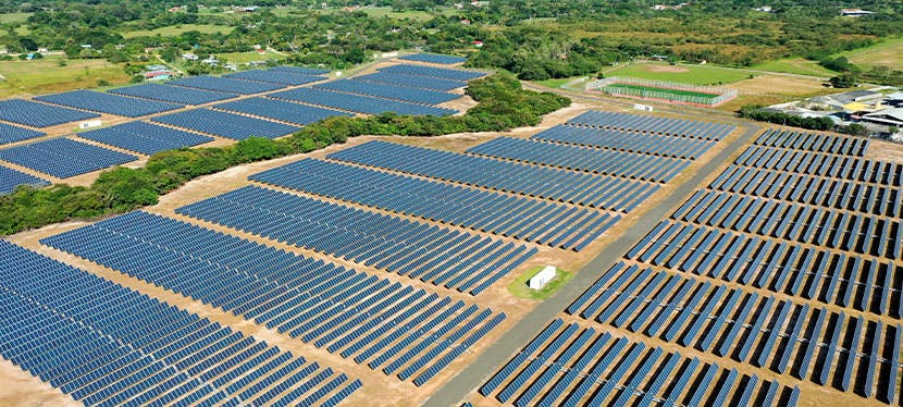 Illustration d'un champ couvert de panneaux solaires photovoltaïques qui représente l'agrovoltaïsme