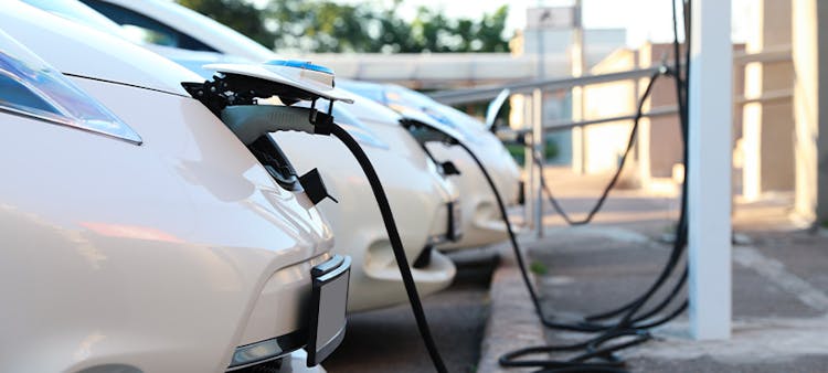 Des voitures électriques alignées en train de charger