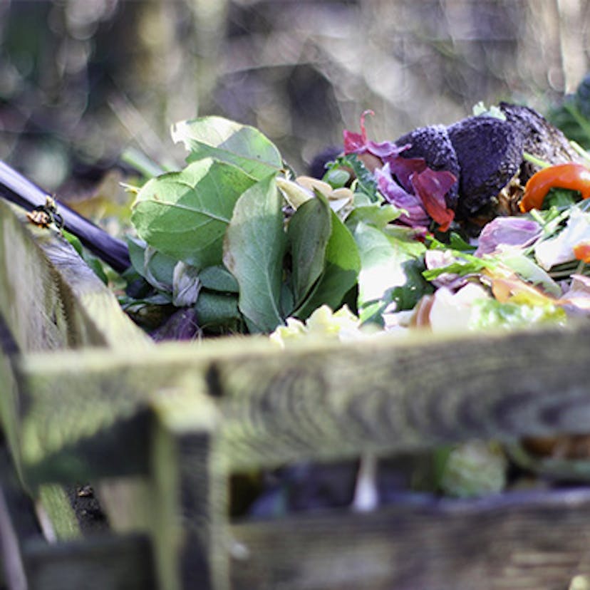 Compost naturel