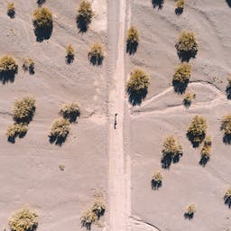 La conventionne citoyenne pour le climat