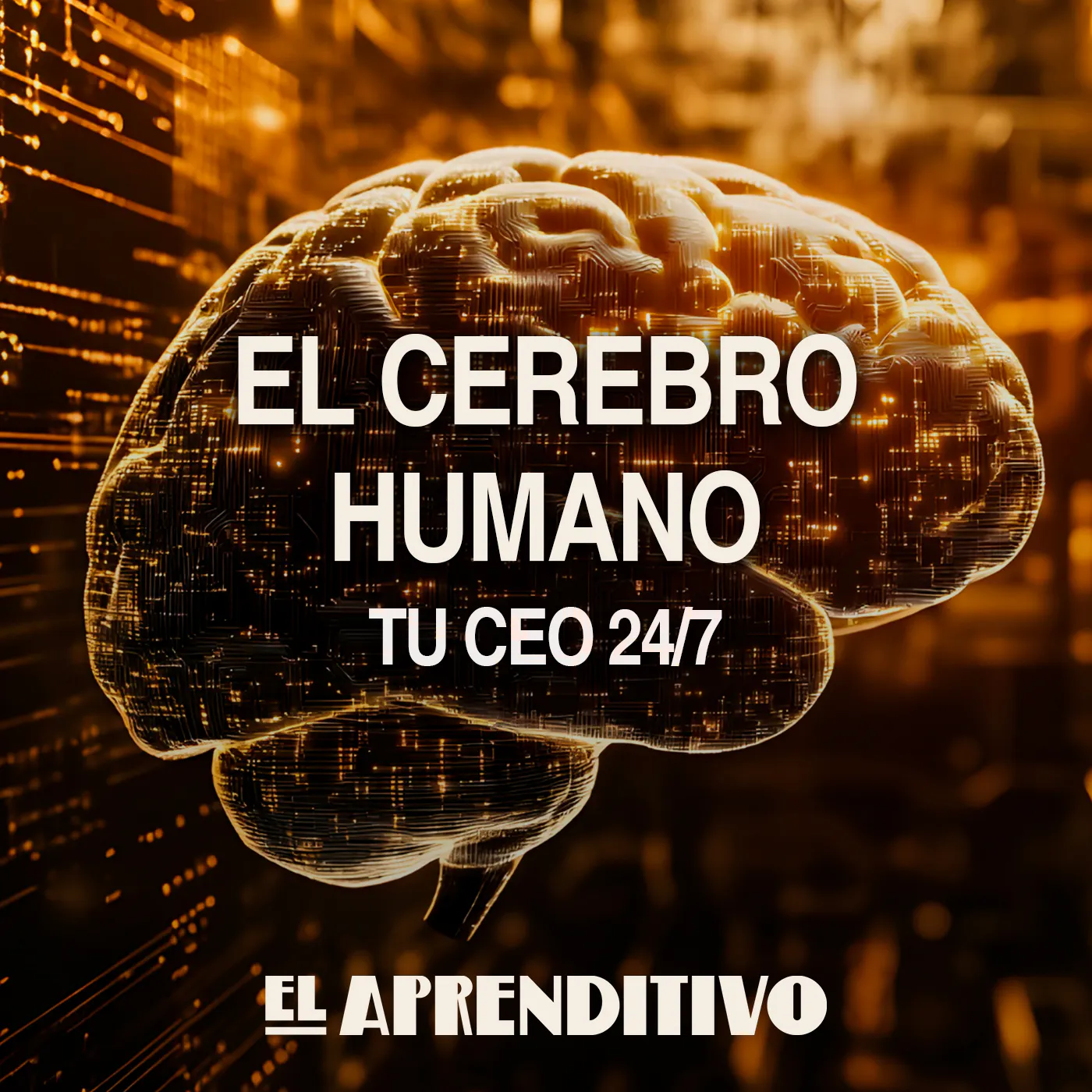 El cerebro humano: tu CEO 24/7