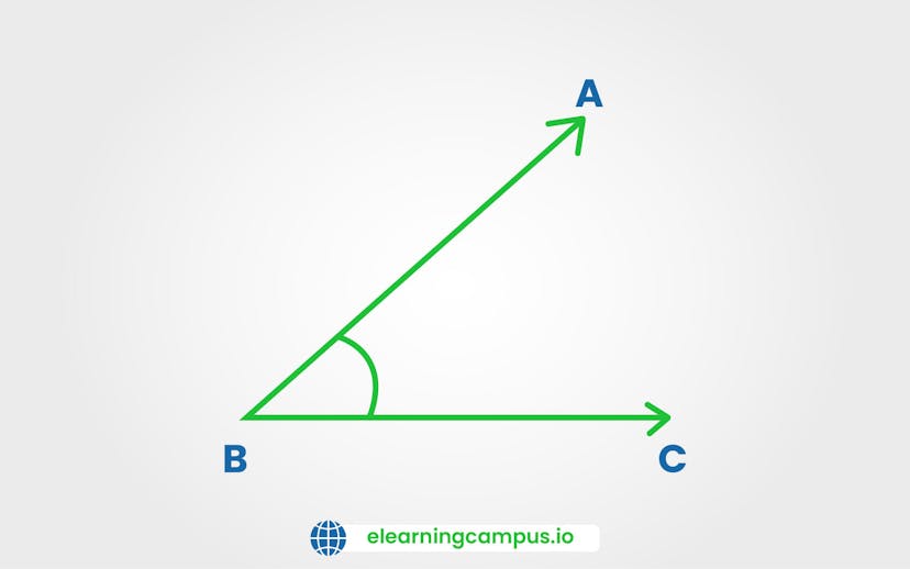 Example for measuring angles with protector