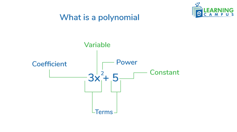 Terms of polynomial expression