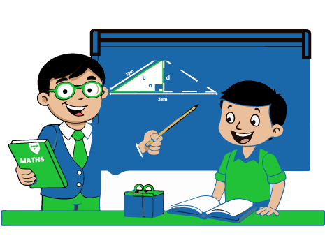 Online Math expert tutor