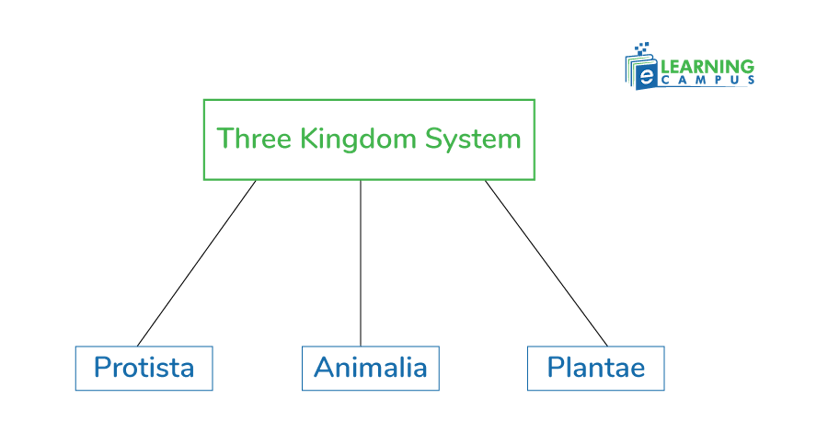 Three kingdom system