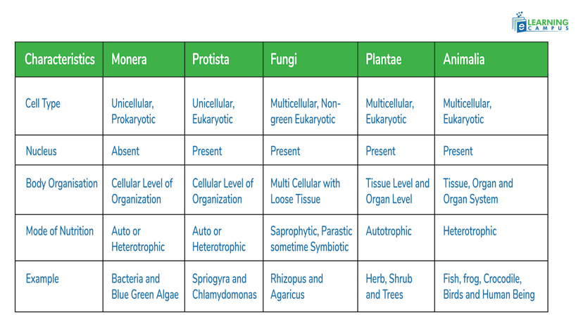  five kingdom classification chart