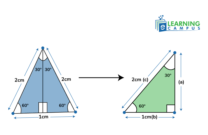 Trigonometric Ratios Of Angles