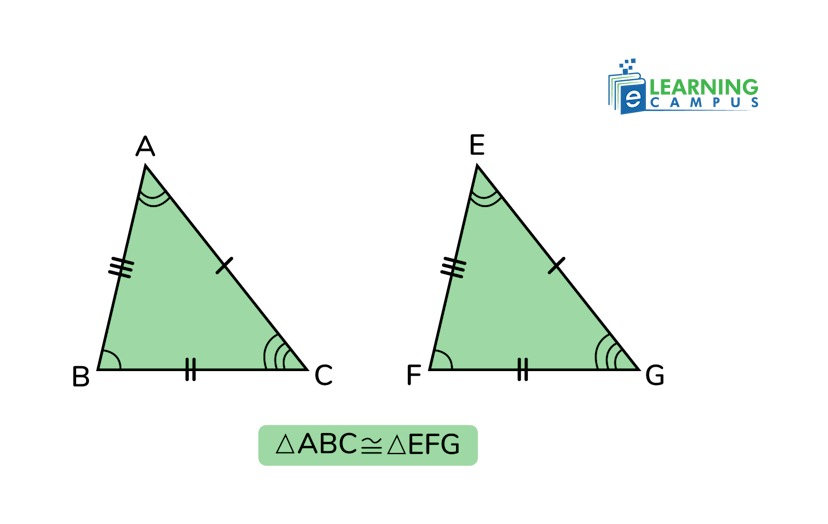 Congruent triangle