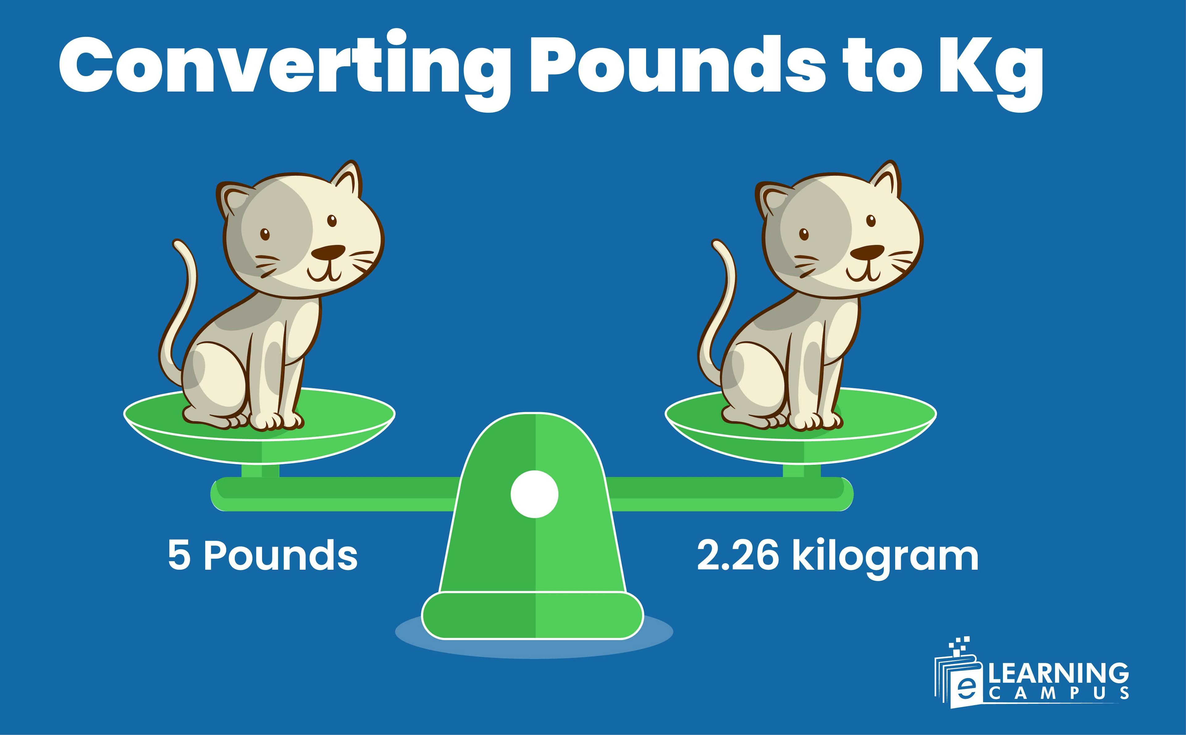 Pound to kilogram formula conversion