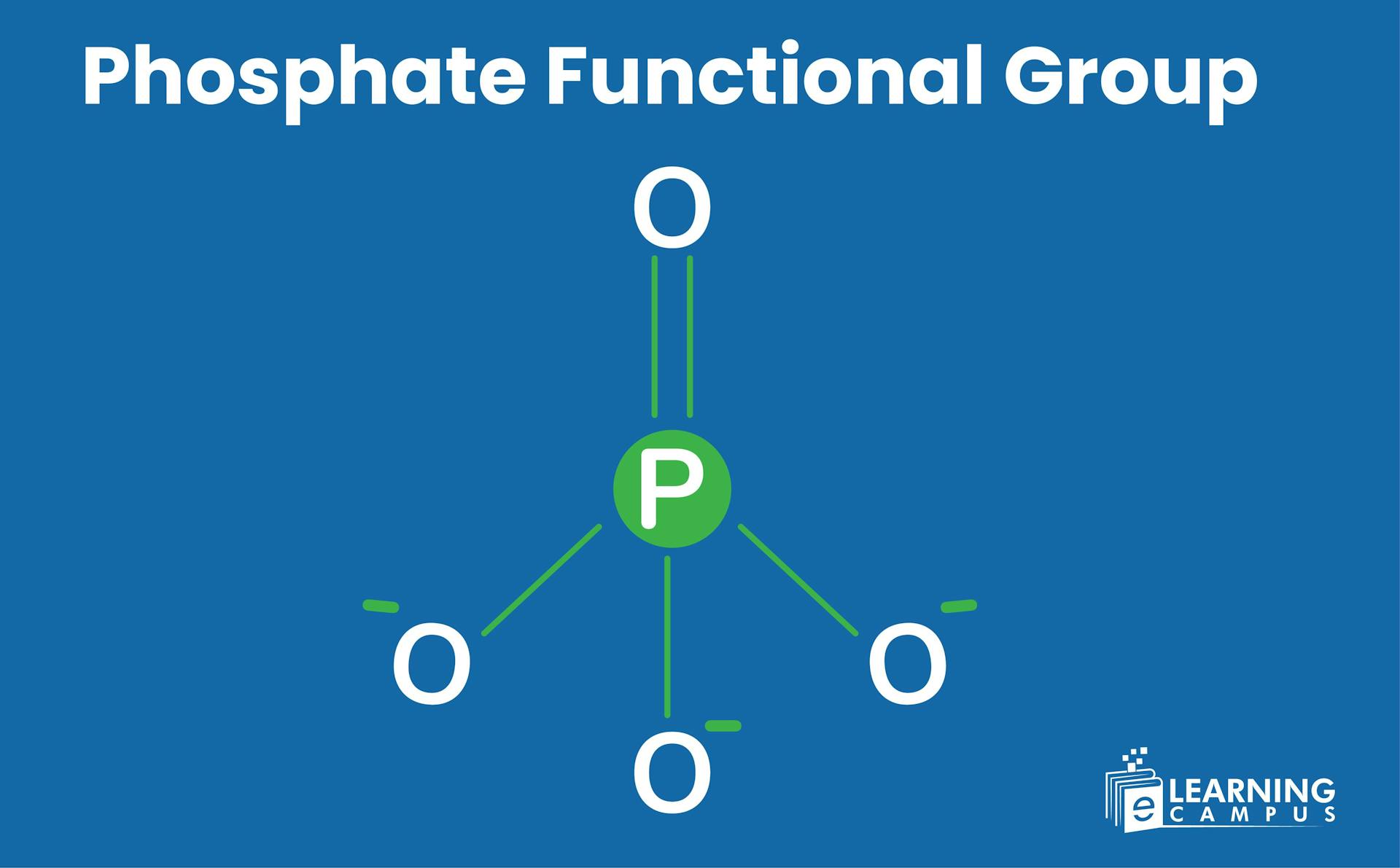 phosphate functional group explained 