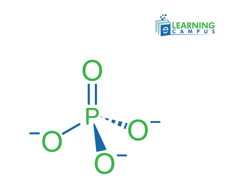 phosphate functional group explained