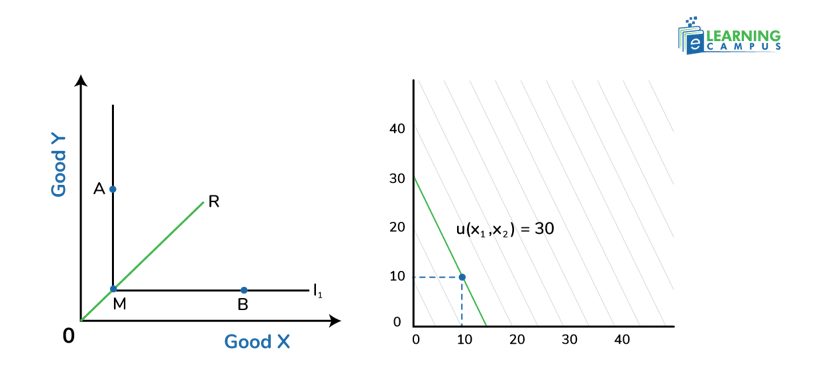L-shape and straight line indifference curves