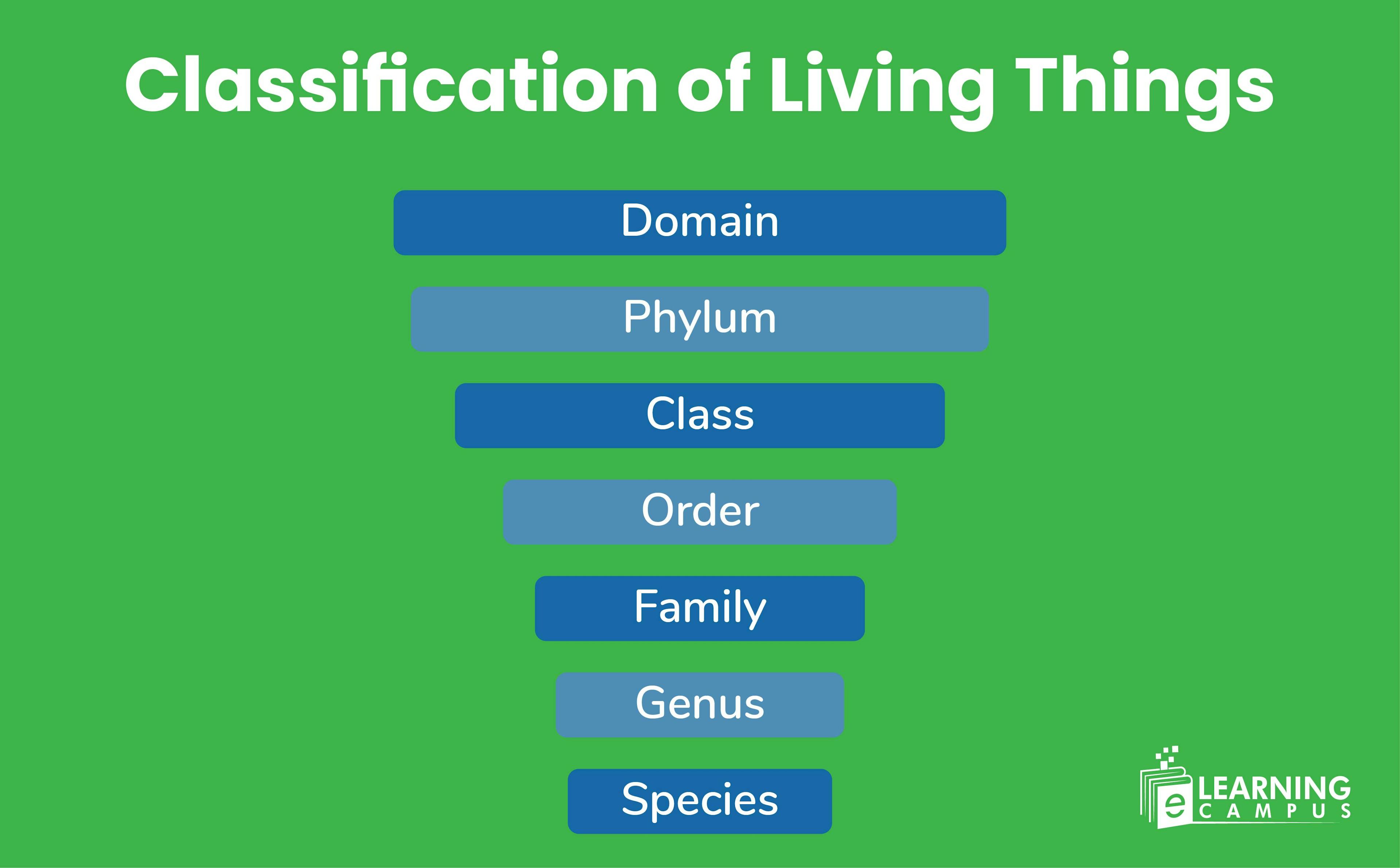 Classification of Living Things