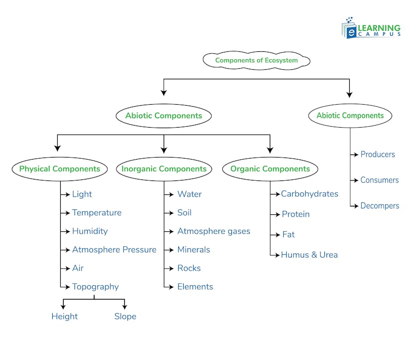 Components of an Ecosystem–biotic and abiotic