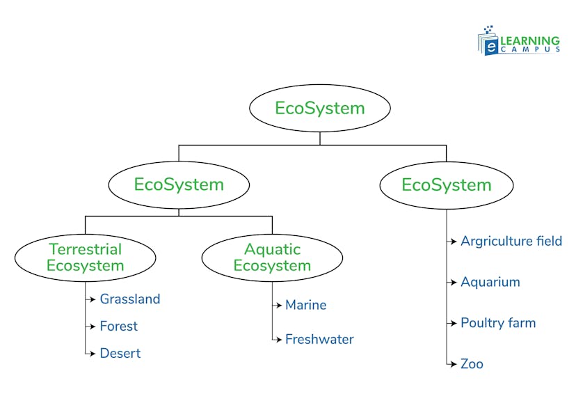 Types of Ecosystems– Natural and Artificial