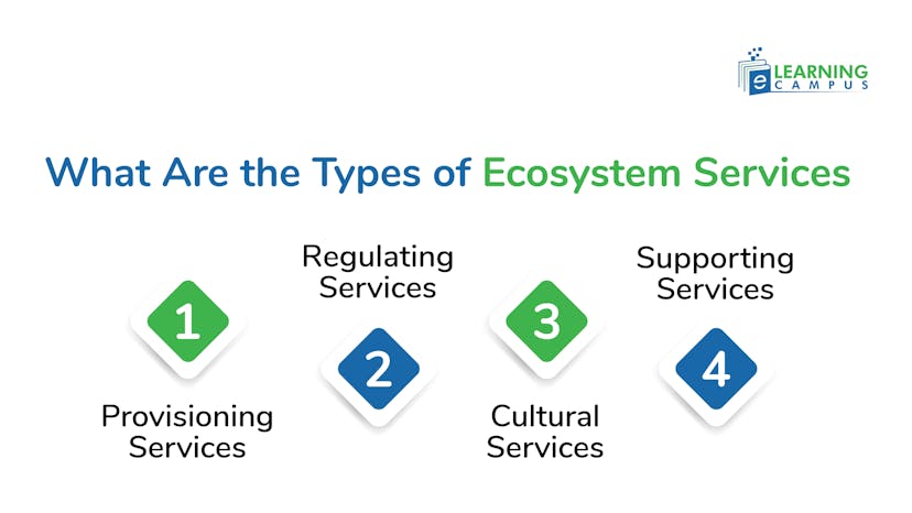 4 types of ecosystem services