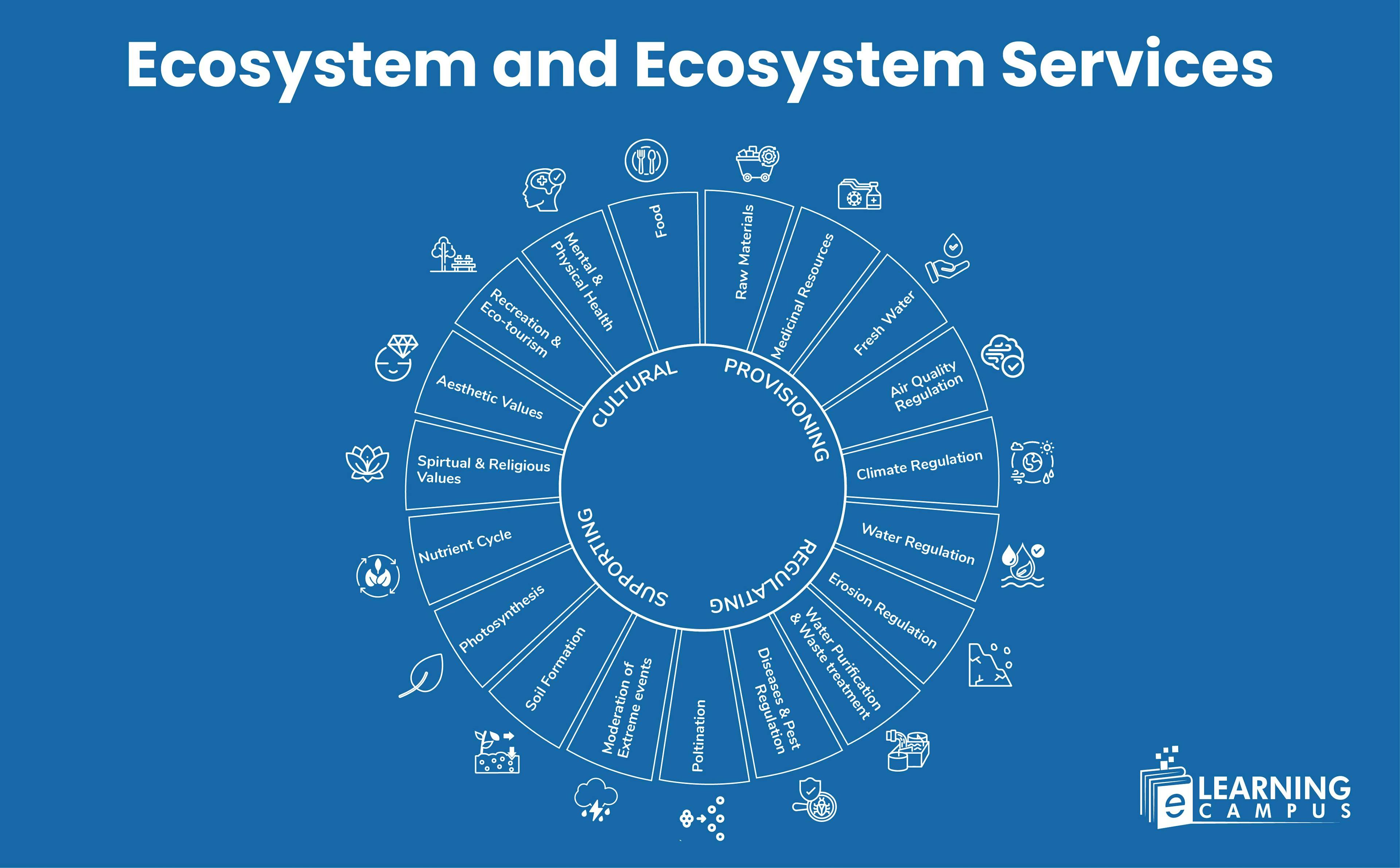 Ecosystem and Ecosystem Services