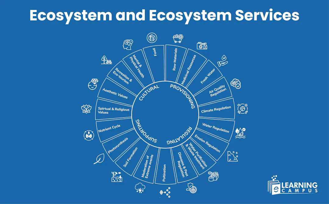 Ecosystem and Ecosystem Services | Green Climate & Biodiversity