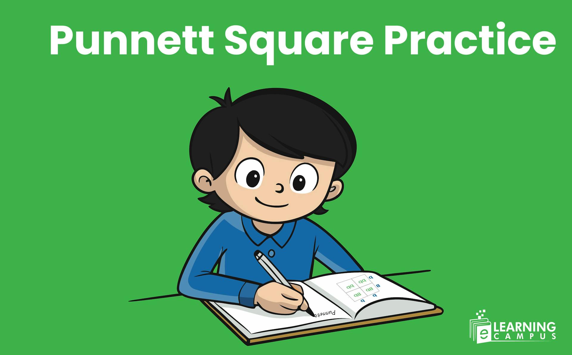 Punnett Square Practice Worksheet PDF
