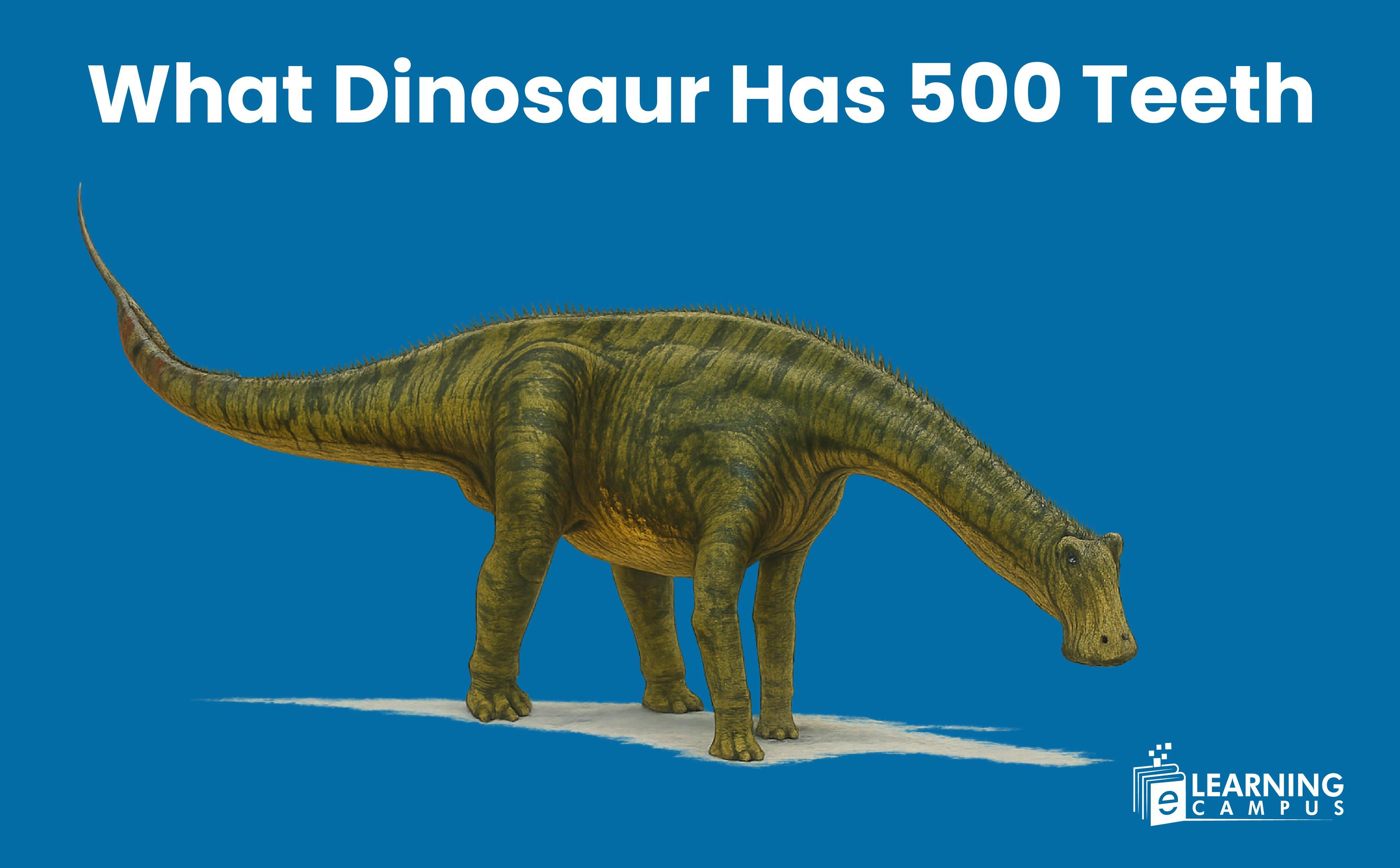  Nigersaurus- A Dinosaur With 500 Teeth