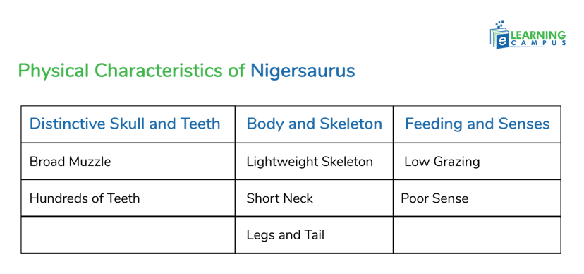 Physical Characteristics of Nigersaurus