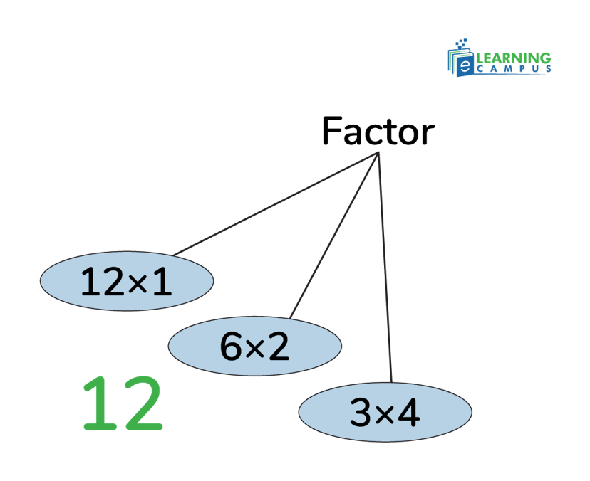 What are the Factors of 12