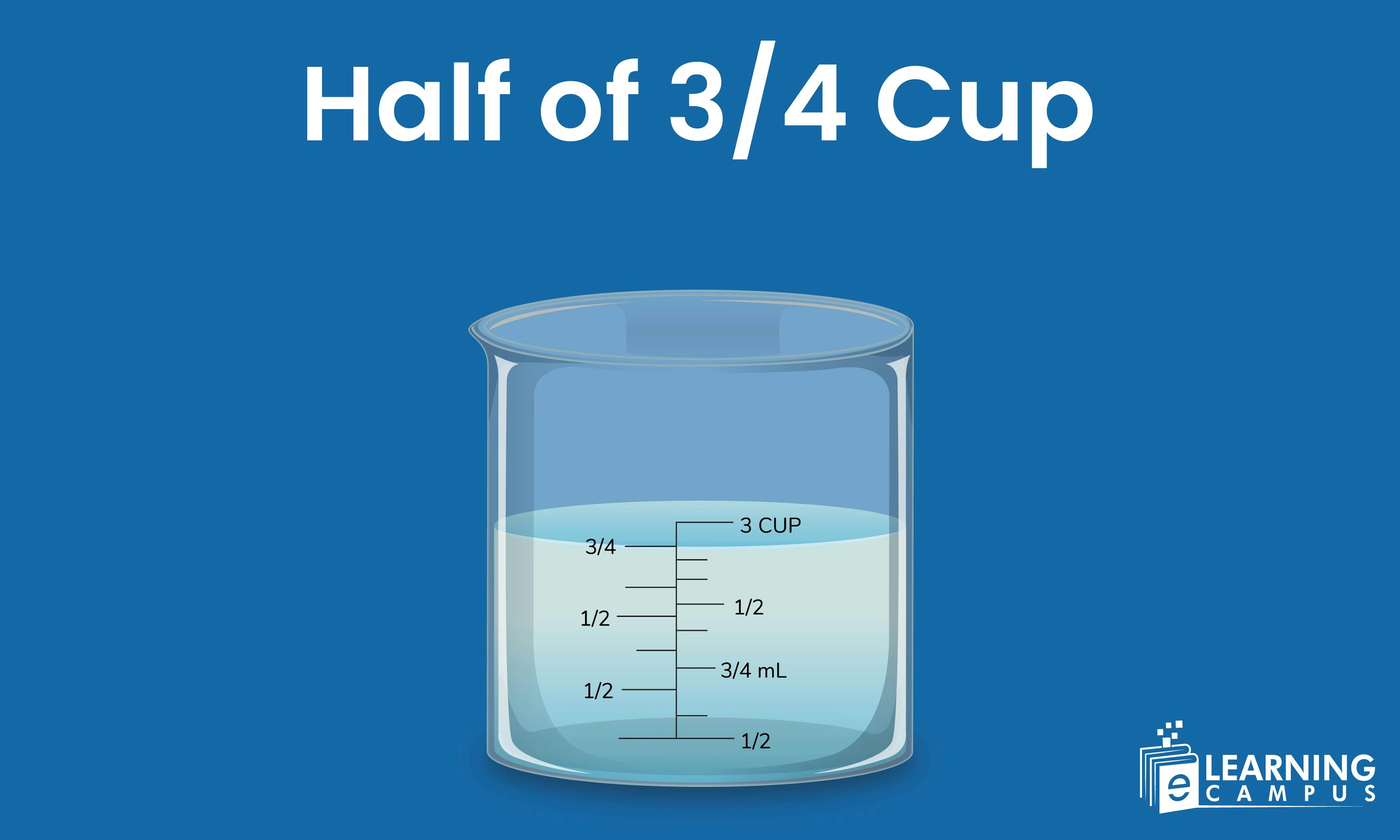 What is half of a 3 ⁄ 4 cup?